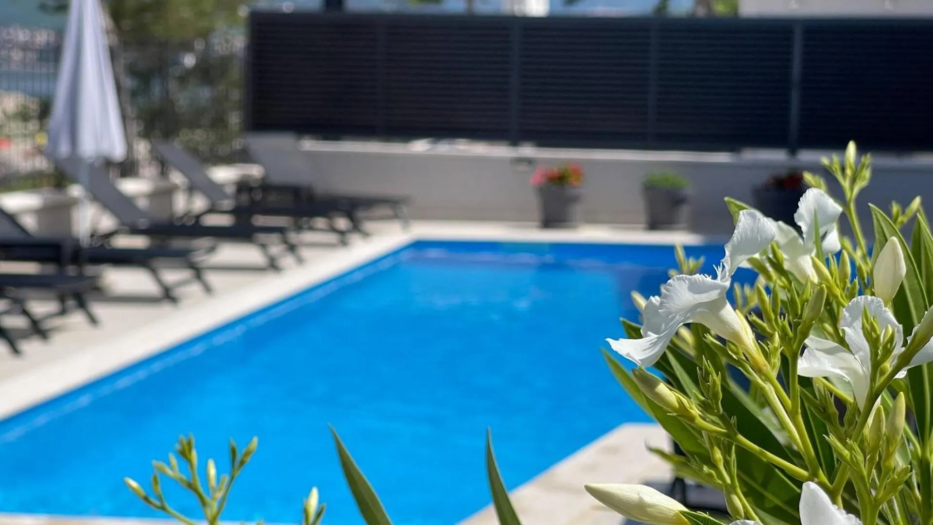 Villas Punta Silo - Luxury Apartments With Pool Croatia